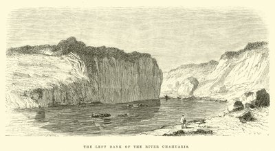 The left bank of the River Chahuaris by Edouard Riou